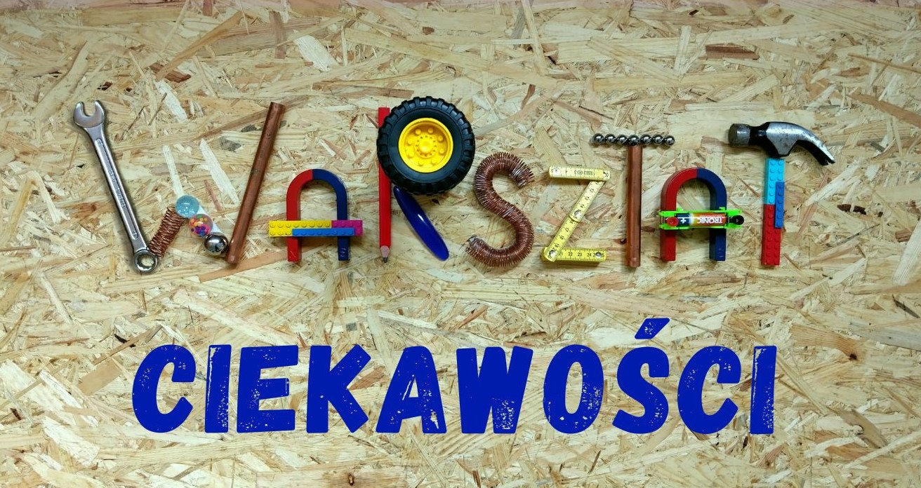 Wolontariat na II Pikniku Naukowym MamutoNauci